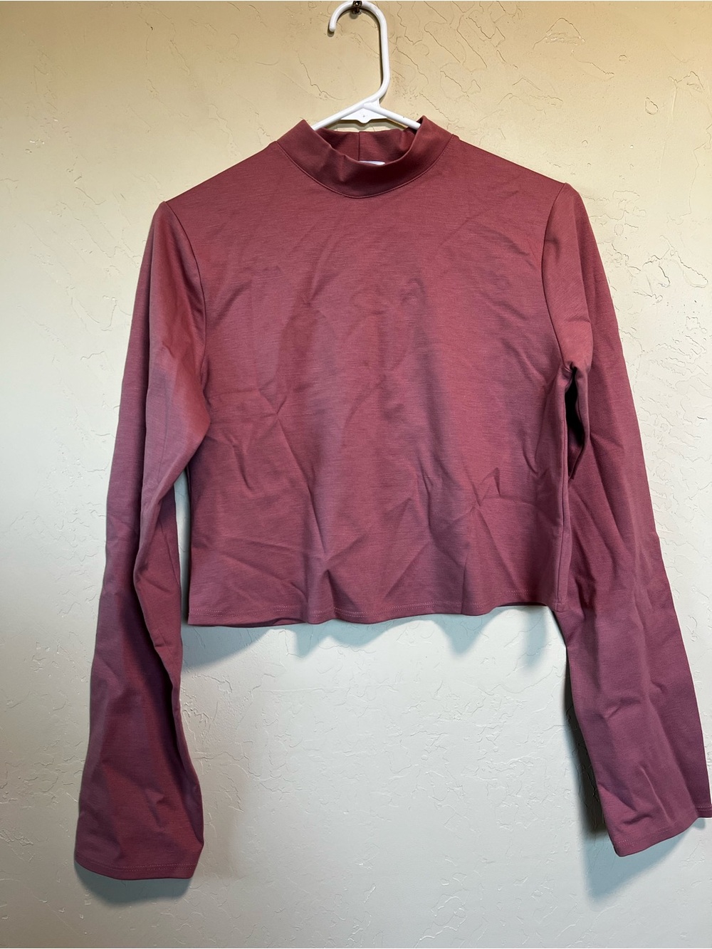 Mock Neck Long Sleeve Crop Top in Mauve